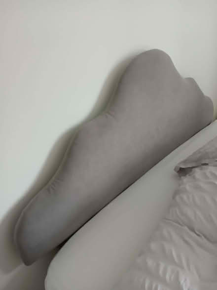 Photo of free Double headboard (Wenslade Park EX5) #1