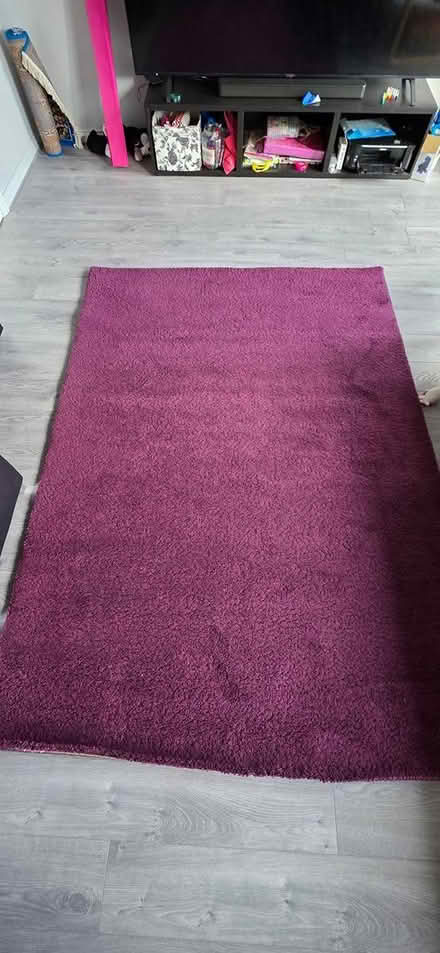 Photo of free Rug (Shirley B90) #2