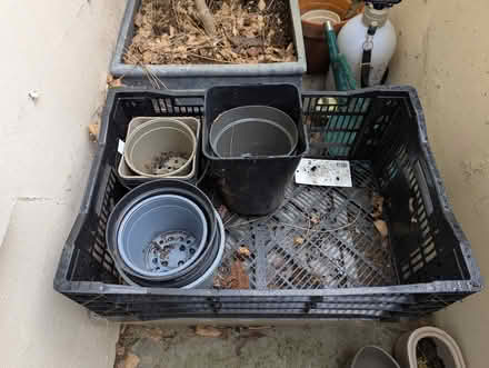Photo of free Plant pots (Islington N1) #1