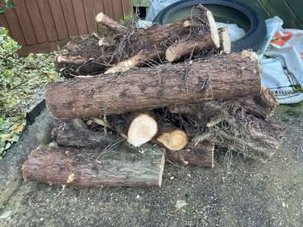 Photo of free Logs (Ipswich IP3) #1