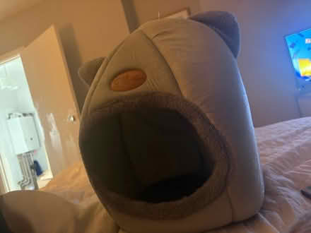 Photo of free Cat bed with cushion (Hollingbury BN1) #1