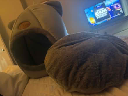 Photo of free Cat bed with cushion (Hollingbury BN1) #2