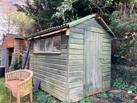 Photo of free Shed 6' x 8' (Berkhamsted HP4) #1