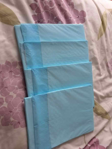 Photo of free Kids disposable bed mats x 4 (Loscoe Grange DE75) #2