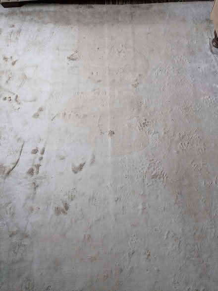 Photo of free Large Cream Rug (Approx 9'6'' x 8') (Wheathampstead AL4) #2