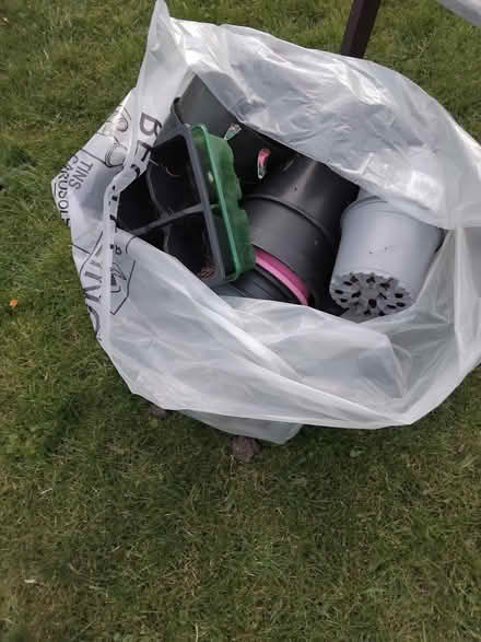 Photo of free Pots, various sizes, seedlings up (Ringwood BH24) #1