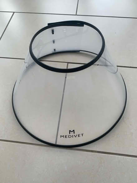 Photo of free Dog Cone Collar (Tilehurst RG31) #1