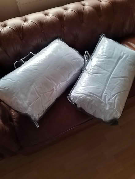 Photo of free Brand new pillows (crownwood RG12) #1