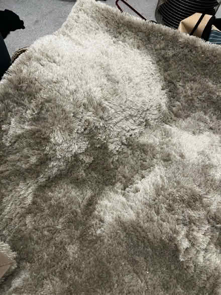 Photo of free Soft beige rug (N10 2NL) #2