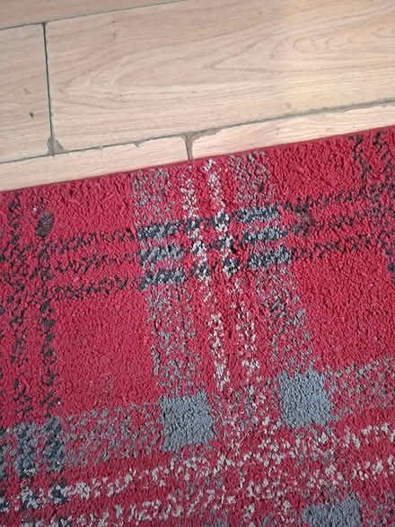 Photo of free Red tartan rug 120x170 (Kidderminster DY11) #4