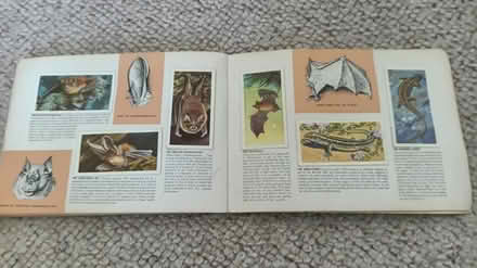 Photo of free Wildlife card albums (Cossington (TA7)) #3