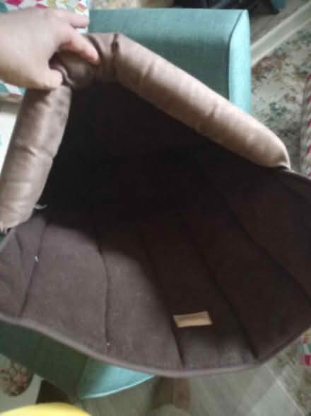 Photo of free Cat/small dog bed/pouch (Tudeley) #2
