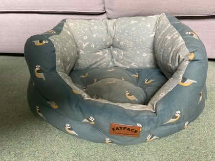 Photo of free Fatface Flying Birds Deluxe Pet bed (Eltham, SE9) #1