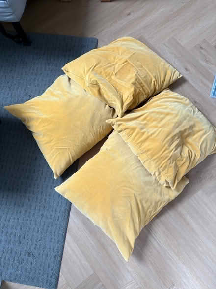 Photo of free Cushions (Emsworth PO10) #1