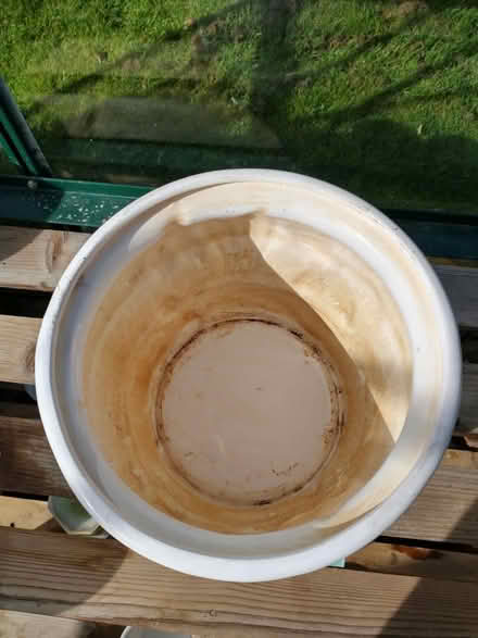 Photo of free Plant pot (Harp Hill) (Cheltenham) #2