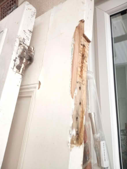 Photo of free 3 x vintage panel doors (Near Horsham Station) #1