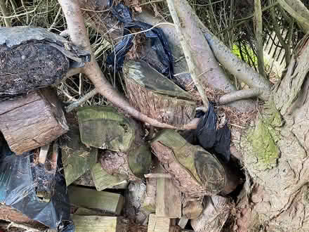 Photo of free Logs (Sandrerstead.) #1