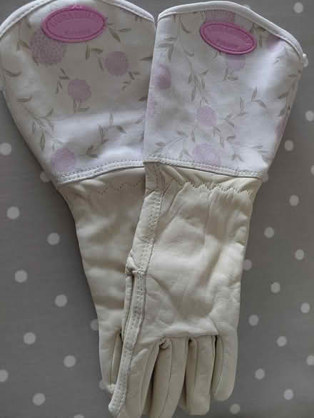 Photo of free Gardening Gloves (Horsham Sx near station) #1