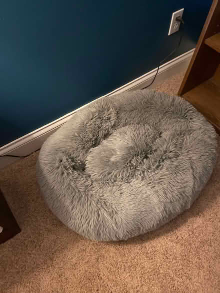 Photo of free Dog bed medium size (Mason) #1