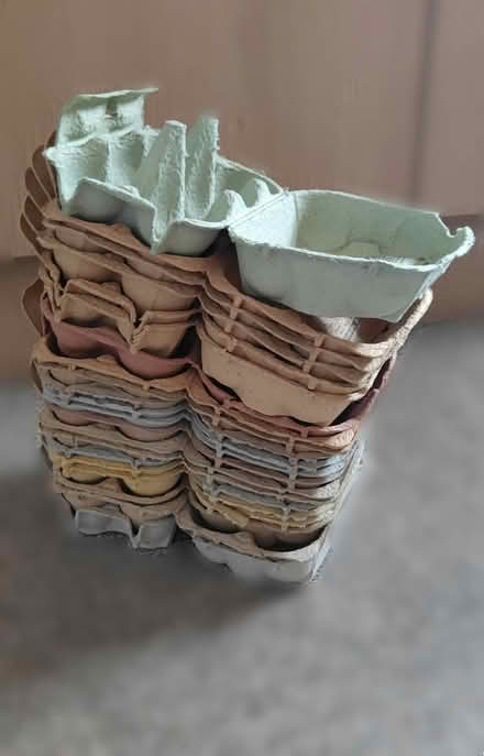 Photo of free Egg Boxes (Chelsea, SW10) #1