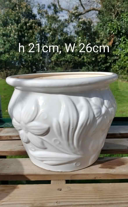 Photo of free Plant pot (Harp Hill) (Cheltenham) #1
