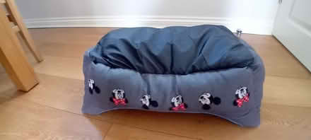 Photo of free Cat bed (Caerphilly CF83) #2