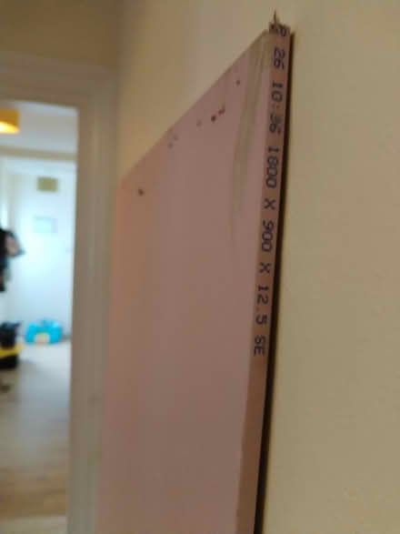 Photo of free Sheet of plasterboard (South Tonbridge) #1