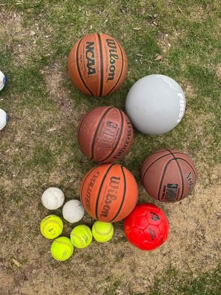 Photo of free Balls (Farmington Hills) #1