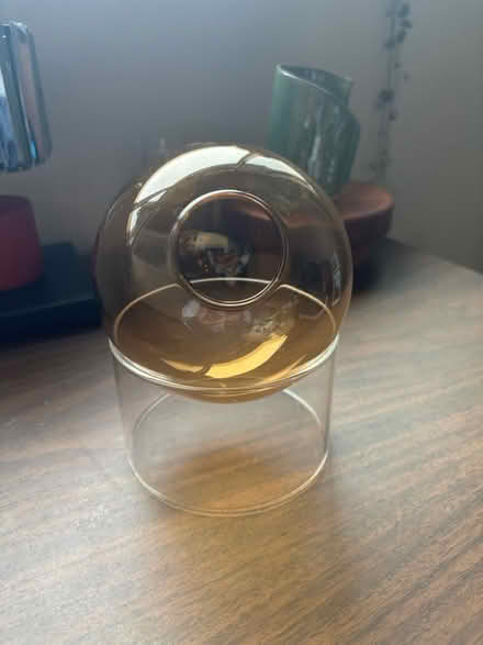 Photo of free Air plant holder from target (Issaquah) #1