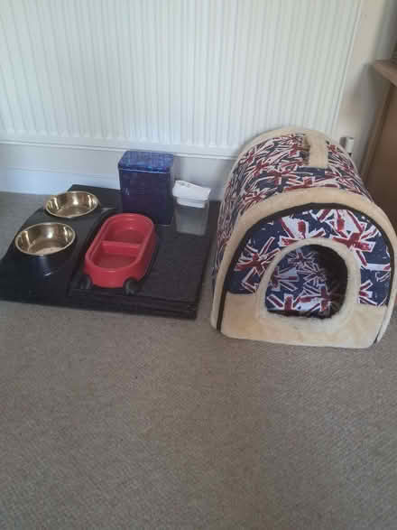 Photo of free Cat Igloo, Dishes, Empty Tin (BD3) #1