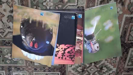 Photo of free RSPB magazines (Loughton IG10) #1