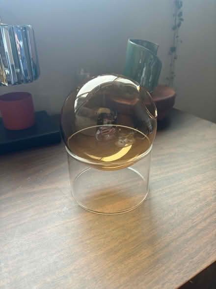 Photo of free Air plant holder from target (Issaquah) #2