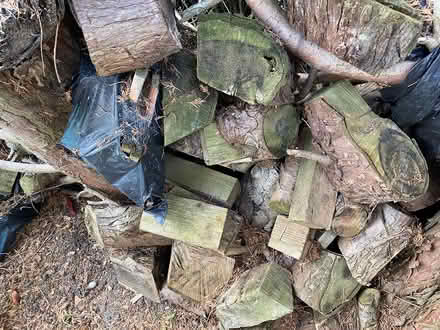Photo of free Logs (Sandrerstead.) #2