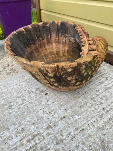 Photo of free Shell Pot (Hitchin SG4) #2
