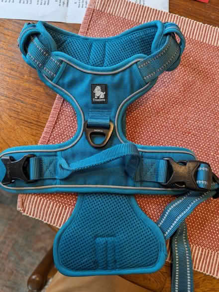 Photo of free Dog harness (North Cambridge) #1