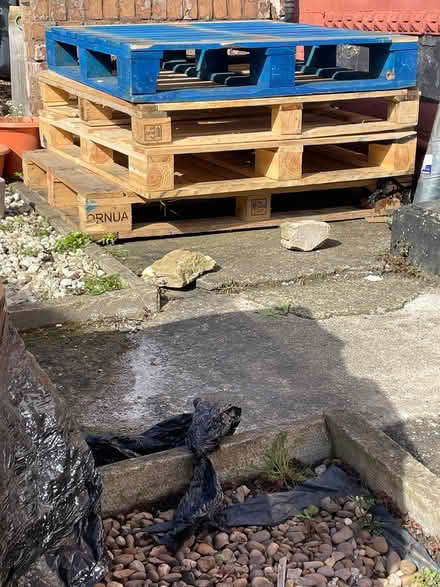 Photo of free Wood pallet (Leeds LS12) #1
