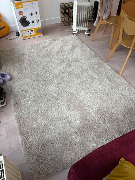 Photo of free Beige teddy rug (Berkhamsted HP4) #3