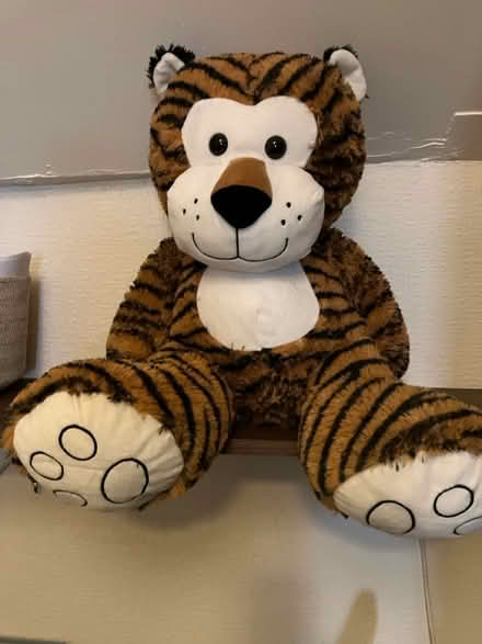 Photo of free Big teddy bear 🧸 (Waddon) #1