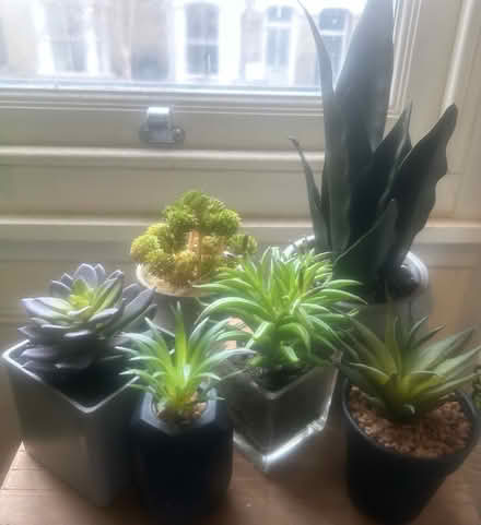 Photo of free Pretend plants (Finsbury Park N4) #2