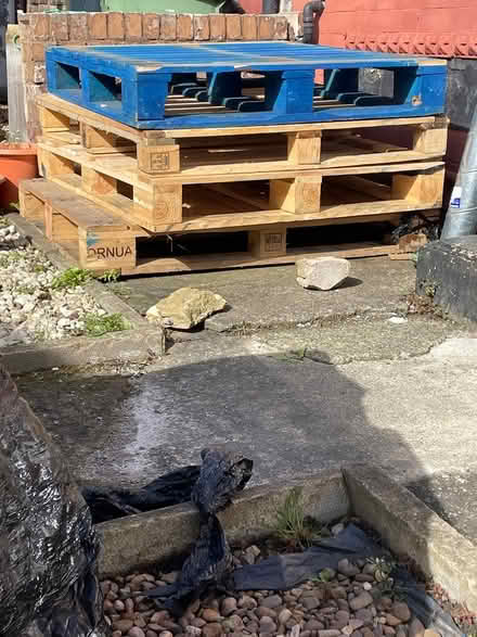 Photo of free Wood pallet (Leeds LS12) #2