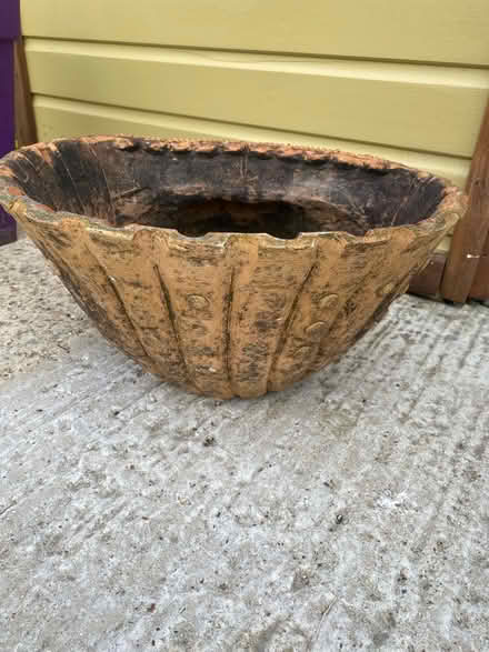 Photo of free Shell Pot (Hitchin SG4) #1