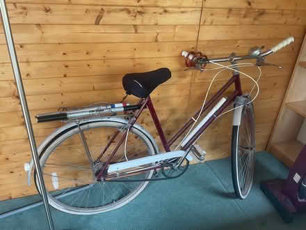 Photo of free Adult bike (Warblington PO9) #1