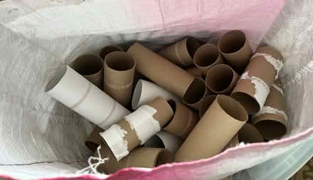 Photo of free Toilet paper rolls (Orléans) #1