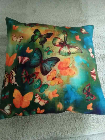 Photo of free Cushions (CO15) #3