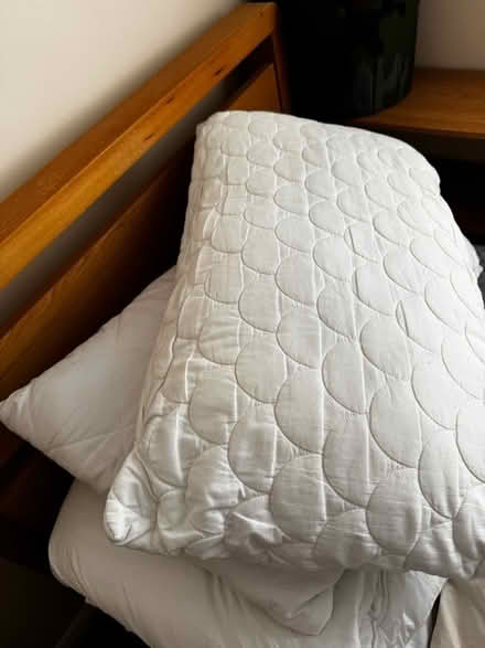Photo of free Single duvet, 2 pillows (Sherwood TN2) #2