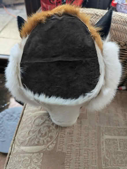 Photo of free Tiger wall ornament (Ridgeway S12) #3