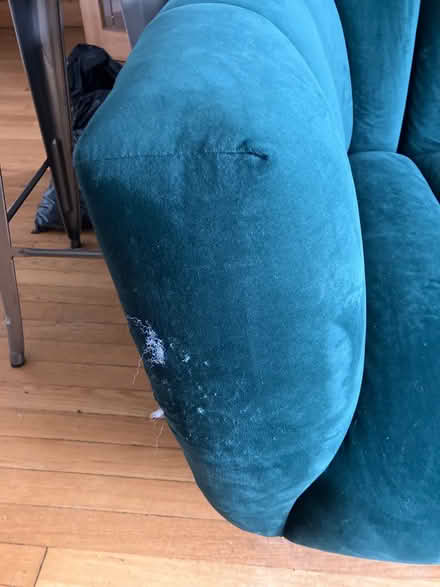 Photo of free Velour Couch (Near IKEA) #4