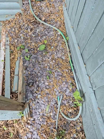 Photo of free Stone chippings (Hornchurch RM12) #2