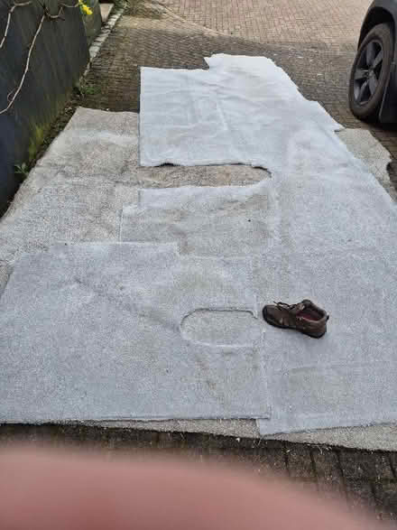 Photo of free Carpets used (Tytherington SK10) #1