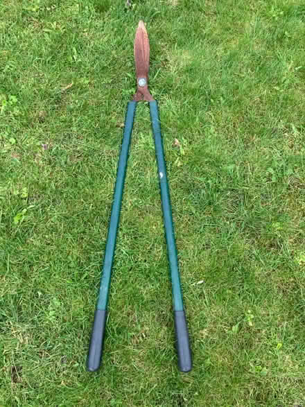 Photo of free Lawn shears (North wootton) #1